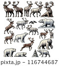 冬のシーンのシロクマとトナカイのイラストコレクション 116744687