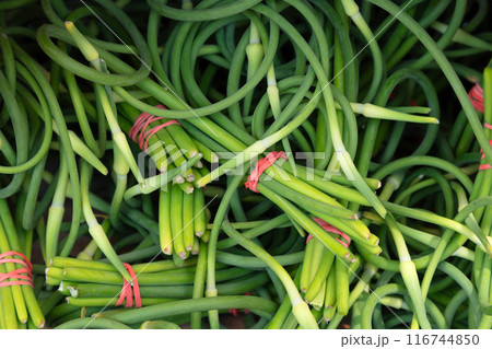 garlic scape green vegetable spice food onion plant stalk 116744850