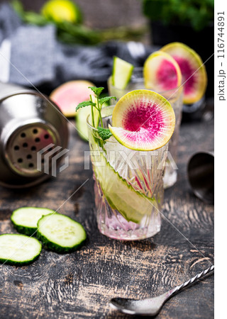 Cocktail with cucumber and radish 116744891