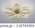 Modern Elegant Golden LED Flower Ceiling Light 116745060