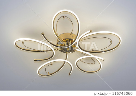 Modern Elegant Golden LED Flower Ceiling Light 116745060