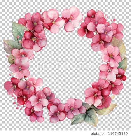 Bergenia, isolated on transparent background Bergenia, isolated on transparent background 116745189