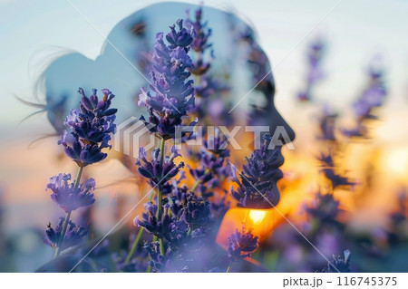 A woman's profile is overlaid with lavender flowers, creating a dreamy and ethereal image.  The warm sunset hues provide a calming backdrop. 116745375