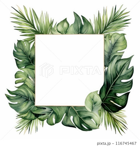 Palm Leaf isolated on white background 116745467