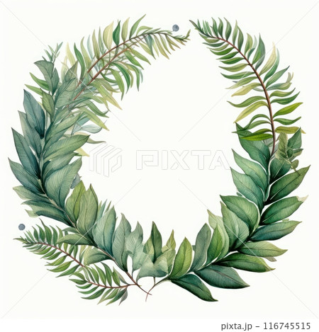 Cycas Leaf isolated on white background 116745515