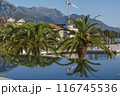 Scenic Coastal View with Palm Trees and Mountains 116745536