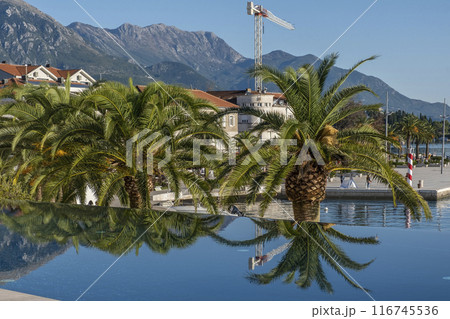 Scenic Coastal View with Palm Trees and Mountains 116745536