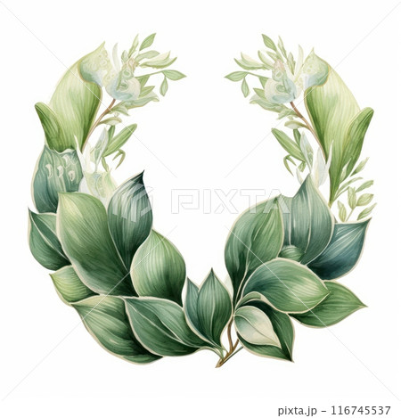 Hosta Leaf isolated on white background 116745537