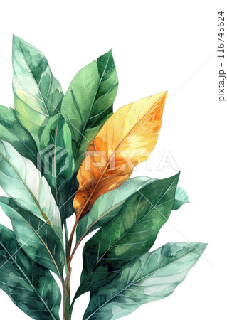 Ginger Leaf, Watercolor tropical Border, watercolor illustration, 116745624