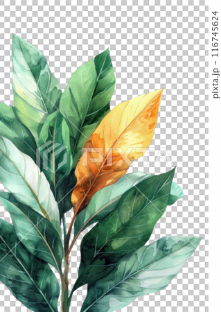 Ginger Leaf, Watercolor tropical Border, watercolor illustration, 116745624