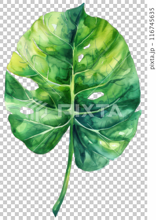 Philodendron Leaf, Watercolor tropical Border, watercolor illustration, 116745635