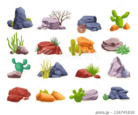 Desert stones plant. Safari vegetation western plants with rocks, dry grass bush agave tumble weed cactus sand terrain isolated landscape elements, ingenious illustration 116745810