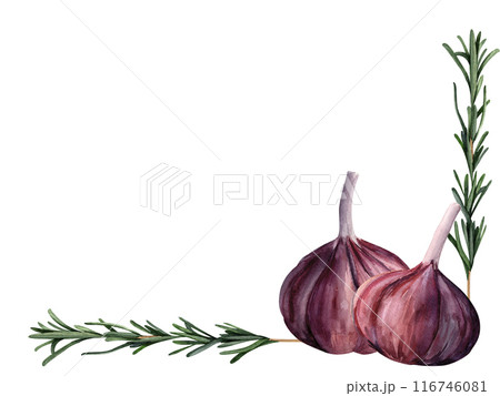 Garlic and rosemary aromatic kitchen herbs, watercolor frame, hand-painted composition for printing on cards, invitations, recipes, cookbooks, packaging and product labels Garlic and rosemary aromatic kitchen herbs, watercolor frame, hand-painted composition for printing on cards, invitations, recipes, cookbooks, packaging and product labels 116746081