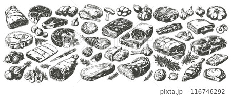 Raw meat sketches. Beef steak drawing vintage butcher menu, uncooked product lamb rib ham slice pig sirloin with garlic rosemary for bbq grill, engraved set vector illustration Raw meat sketches. Beef steak drawing vintage butcher menu, uncooked product lamb rib ham slice pig sirloin with garlic rosemary for bbq grill, engraved set vector illustration 116746292
