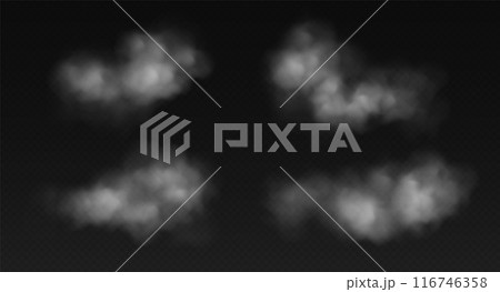 Fog or smoke isolated on transparent background. Realistic smog, haze, mist or cloudiness effect. 116746358