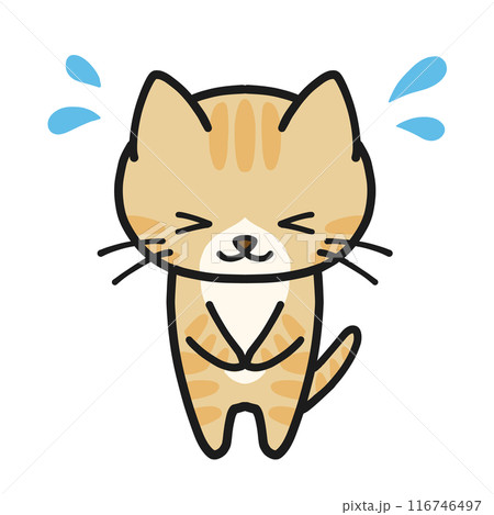 焦りながらお辞儀するハチワレ茶トラ猫 116746497