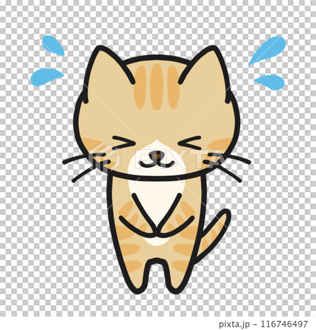 焦りながらお辞儀するハチワレ茶トラ猫 116746497