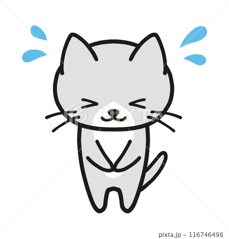 焦りながらお辞儀するハチワレグレー猫 焦りながらお辞儀するハチワレグレー猫 116746498