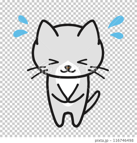 A brown-and-gray cat bowing impatiently 116746498