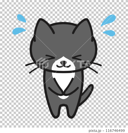 A black, brown-haired cat bowing impatiently 116746499