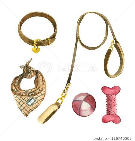 Set for pets, dogs. Watercolor illustration. Leash, collar, toys, ball, rubber bone, dog scarf - all objects are hand-painted in watercolors. Suitable for print, design. 116746505