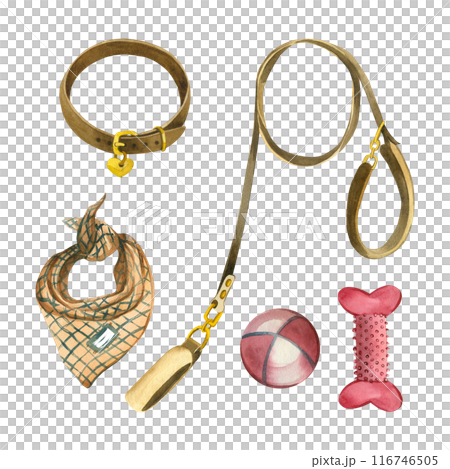 Set for pets, dogs. Watercolor illustration. Leash, collar, toys, ball, rubber bone, dog scarf - all objects are hand-painted in watercolors. Suitable for print, design. 116746505