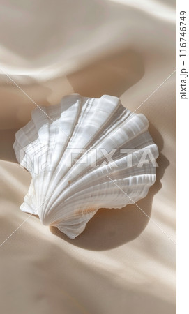 White seashell on beige fabric background, nature detail concept 116746749