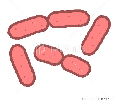 エルシニア・エンテロコリチカ 116747111
