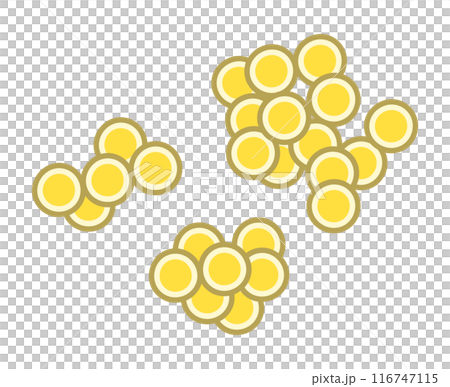 Staphylococcus aureus 116747115