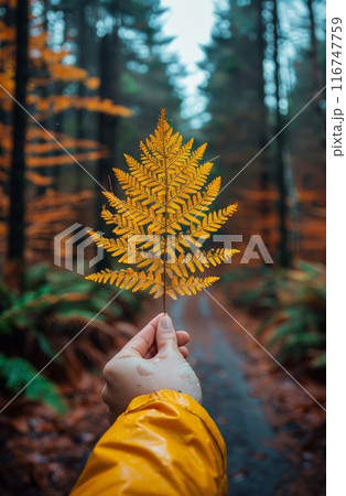 Holding an Autumn Fern in the Woods Holding an Autumn Fern in the Woods 116747759