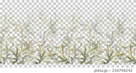 Olive tree branch, fruitless with green leaves. Watercolor botanical seamless border, pattern. Hand drawn nature leaf illustration for food oil label paper, wallpaper, fabric on isolated background 116748242
