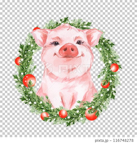 Funny pig and Christmas wreath. Isolated on white. Cute watercolor illustration. 116748278