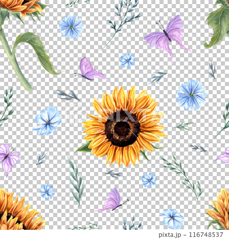 Sunflowers, chicory, herbs and butterflies. Summer flowers with fluttering pink insect. Seamless pattern with meadow wildflowers. Watercolor illustration. For textile, wrapping, scrapbook 116748537