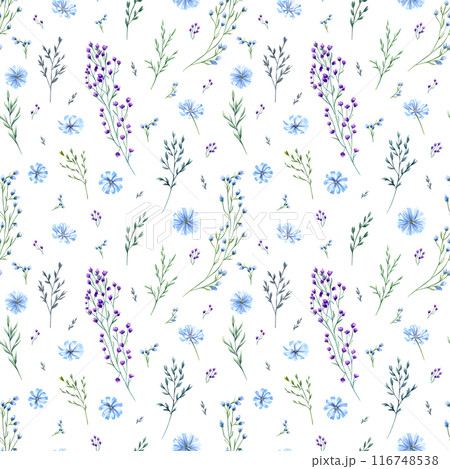 Meadow flowers and herbs. Seamless pattern of aromatic wildflowers. Blue and purple flower, green spikelet. Spring, summer greenery. Watercolor illustration. For wedding textile, wrapping, scrapbook 116748538