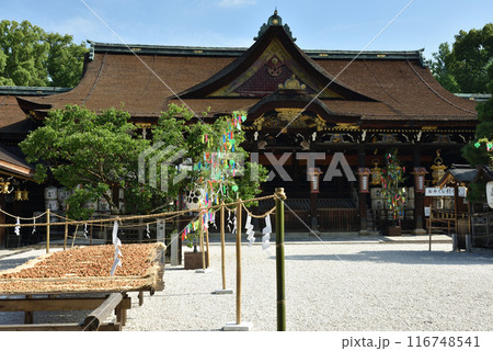 夏の天神さん 大福梅と御本殿 夏の天神さん 大福梅と御本殿 116748541