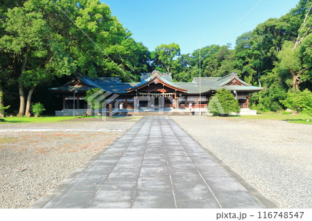 【香川県】香川縣護國神社（香川県護国神社）讃岐宮・拝殿　 116748547