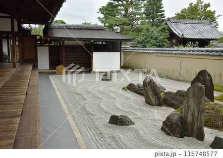 雨あがりの瑞峯院　独坐庭(方丈南庭) 116748577