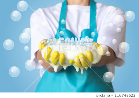 Concept of quality cleaning. 116748622