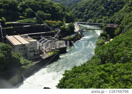 放流中の天ヶ瀬ダムから見る宇治川 放流中の天ヶ瀬ダムから見る宇治川 116748706