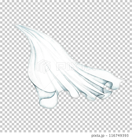 White wedding veil. An element of the bride's outfit. The lady logo. A separate watercolor illustration made by hand. An element of the design of postcards, banners, flyers and invitations. 116749393