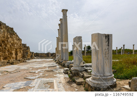 Remains of the ancient city of Salamis, Northern Cyprus Remains of the ancient city of Salamis, Northern Cyprus 116749592