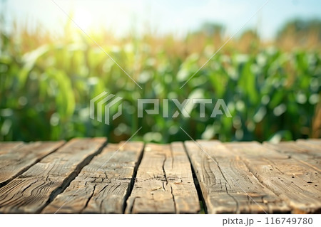 Natural wood surface with a blurred view of cornfield greenery. Copy space. Ideal for articles, blogs, or websites about farming, sustainability, and nature. 116749780