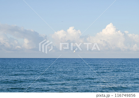 seagull over the Mediterranean sea on a sunny day 1 seagull over the Mediterranean sea on a sunny day 1 116749856