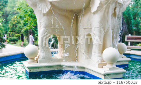 landmark fountain europe tourism architecture statue travel piazza duomo city sicilia elephant town 116750018