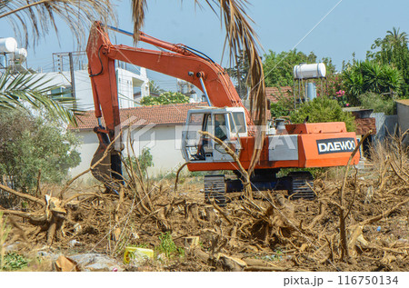 Gazeveren Cyprus 03.07.2024 - excavator uproots the roots of orange trees Gazeveren Cyprus 03.07.2024 - excavator uproots the roots of orange trees 116750134