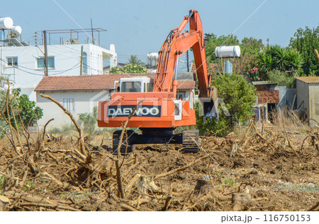 Gazeveren Cyprus 03.07.2024 - excavator uproots the roots of orange trees Gazeveren Cyprus 03.07.2024 - excavator uproots the roots of orange trees 116750153