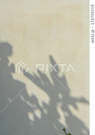 The sun light casting abstract shadow over the white concrete wall,sunshade shadow The sun light casting abstract shadow over the white concrete wall,sunshade shadow 116750159