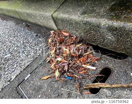 雨水枡の取水口をふさぐゴミ 雨水枡の取水口をふさぐゴミ 116750362