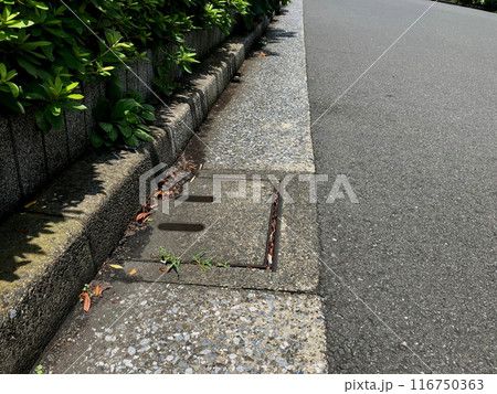 雨水枡の取水口をふさぐゴミ　　 116750363