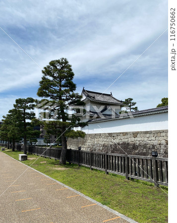 Photo of Japanese Black Pine in Nijo Castle Kyoto Japan Photo of Japanese Black Pine in Nijo Castle Kyoto Japan 116750662